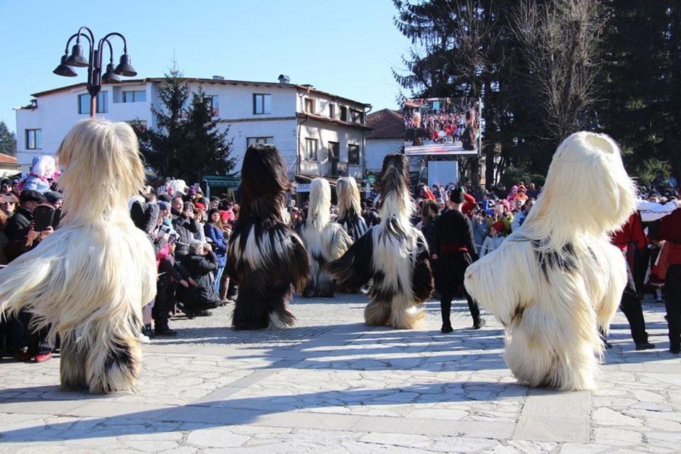 Hotel Alpin - 91 Banszko Kültér fotó